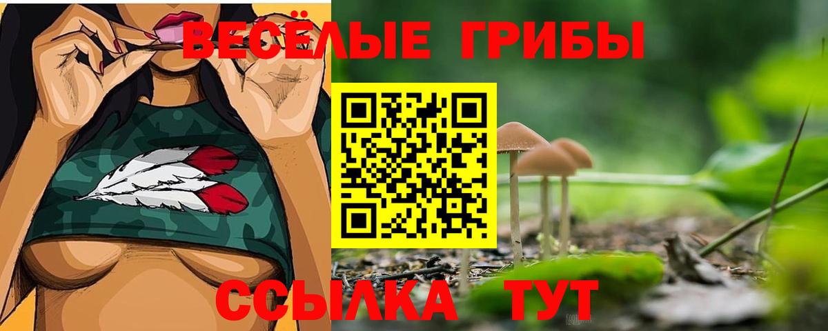 Ухта  Псилоцибиновые грибы GOLDEN TEACHER  Галлюциногенные грибы MAGIC MUSHROOMS  Вход с VPN 